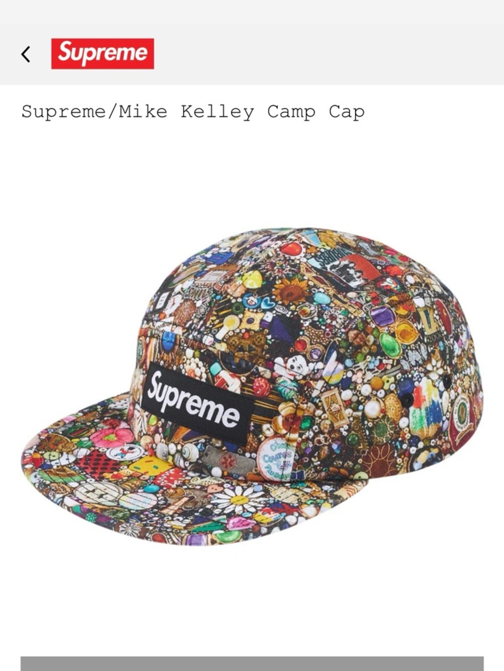 Supreme/Mike Kelley Camp Cap